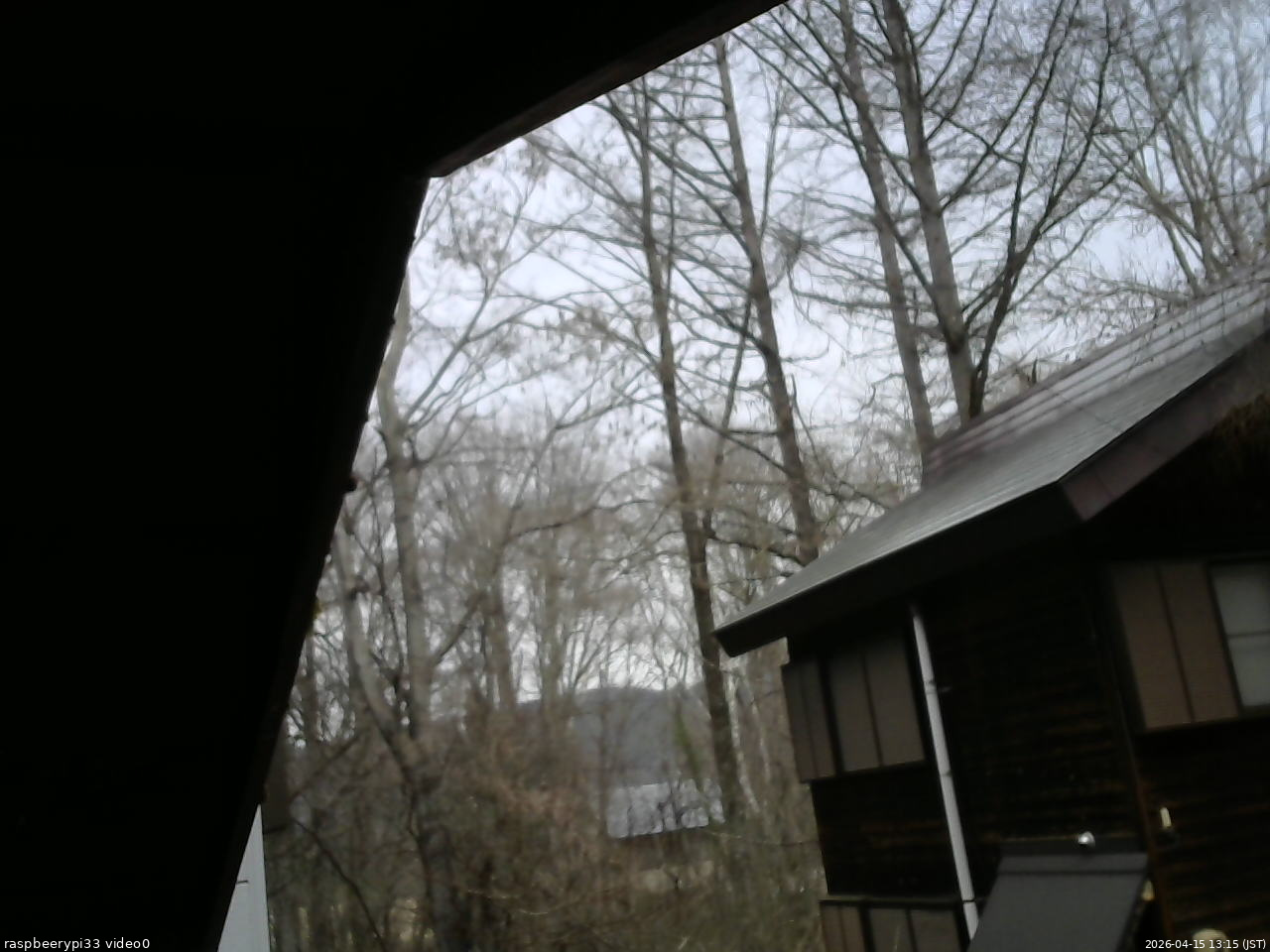 長野県菅平高原 ゆたか山荘 北側 2026/04/15 13:15