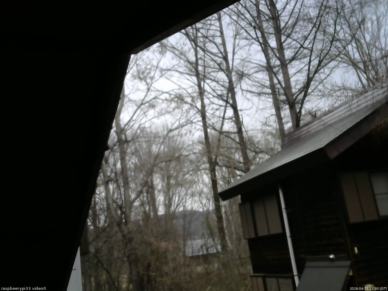 長野県菅平高原 ゆたか山荘 北側 2026/04/15 13:30