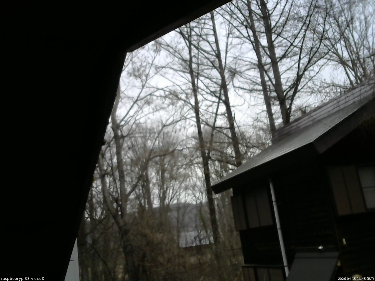 長野県菅平高原 ゆたか山荘 北側 2026/04/15 13:45