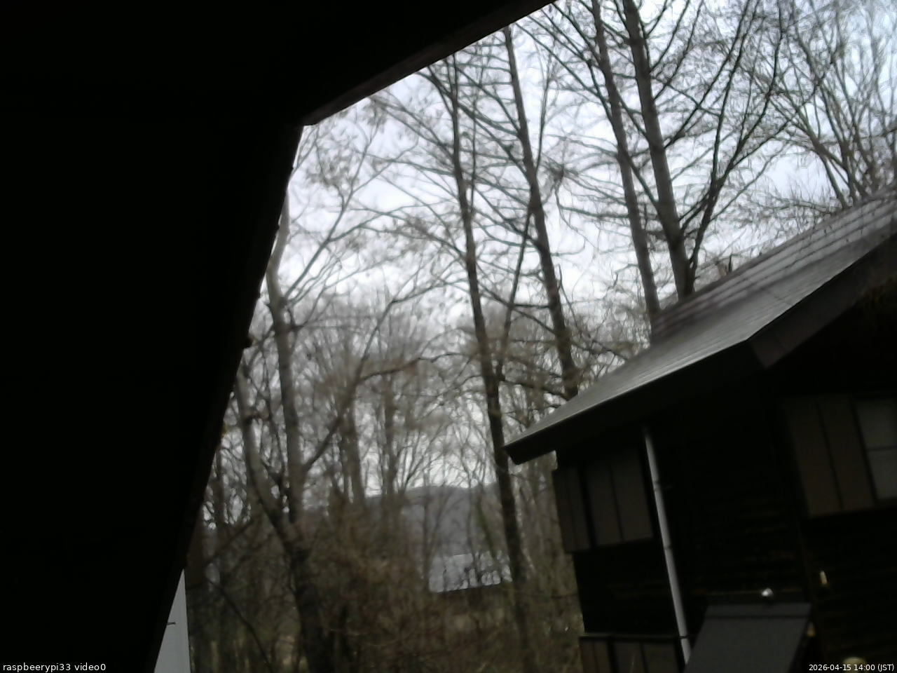 長野県菅平高原 ゆたか山荘 北側 2026/04/15 14:00