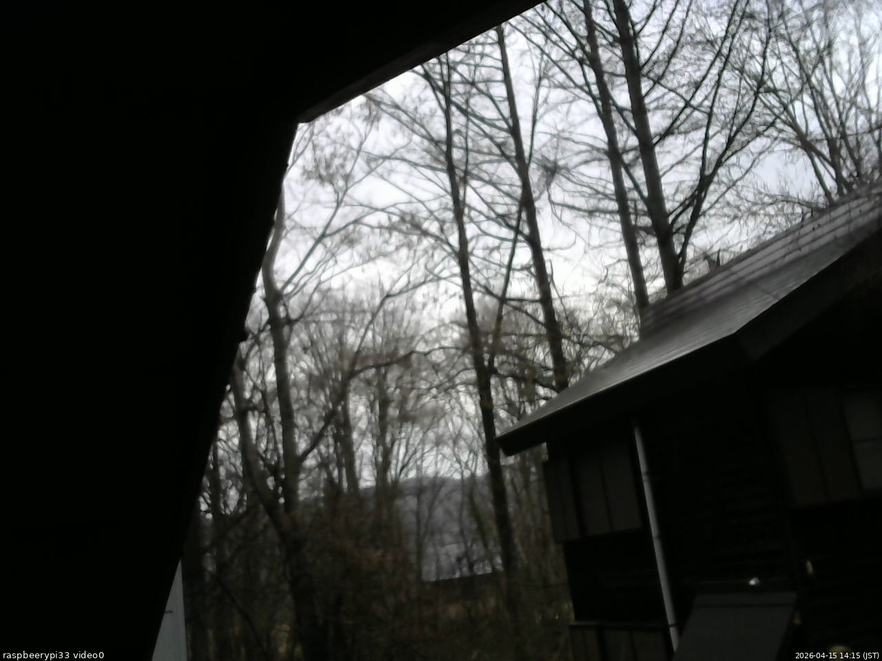 長野県菅平高原 ゆたか山荘 北側 2026/04/15 14:15