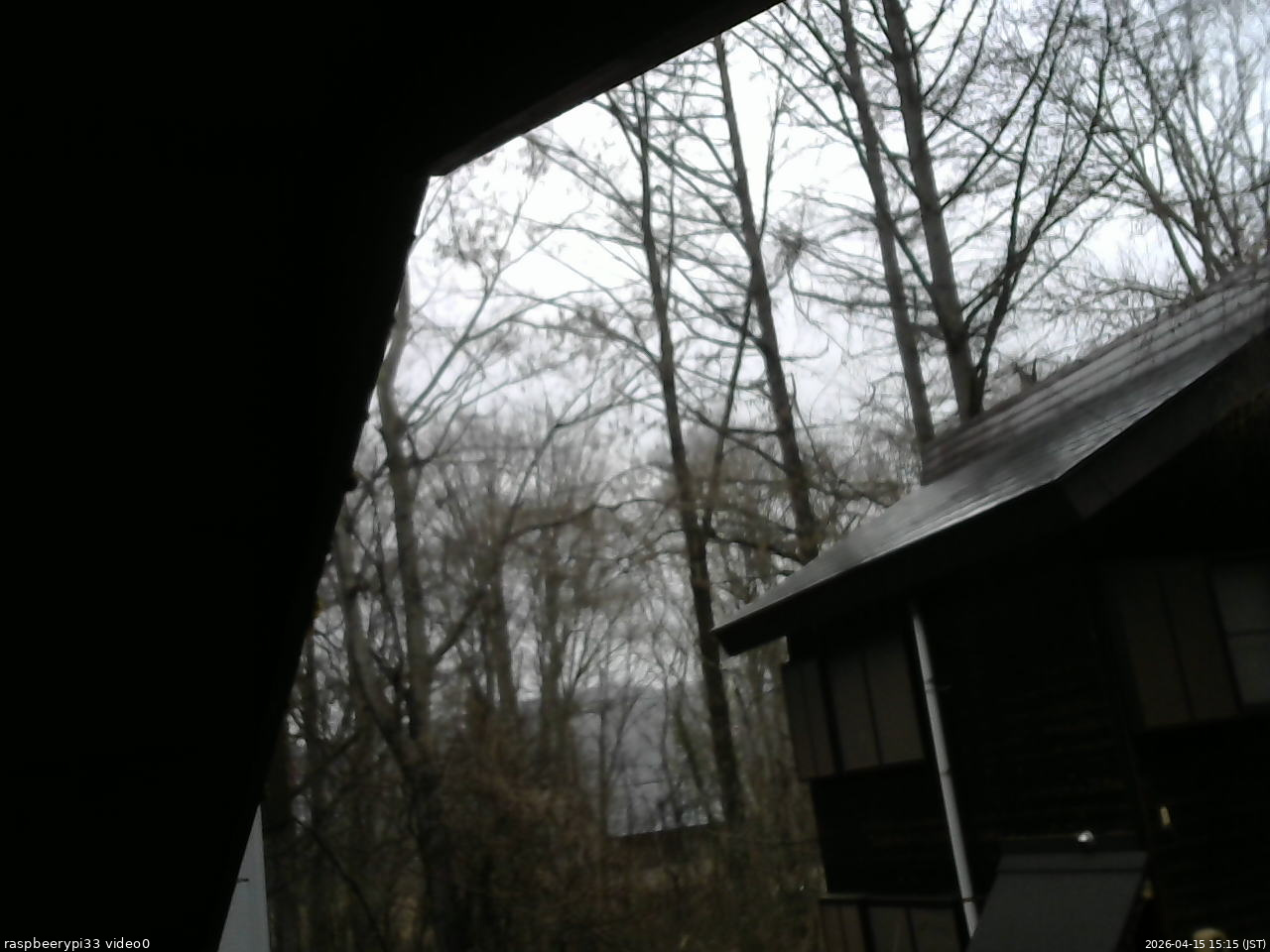 長野県菅平高原 ゆたか山荘 北側 2026/04/15 15:15