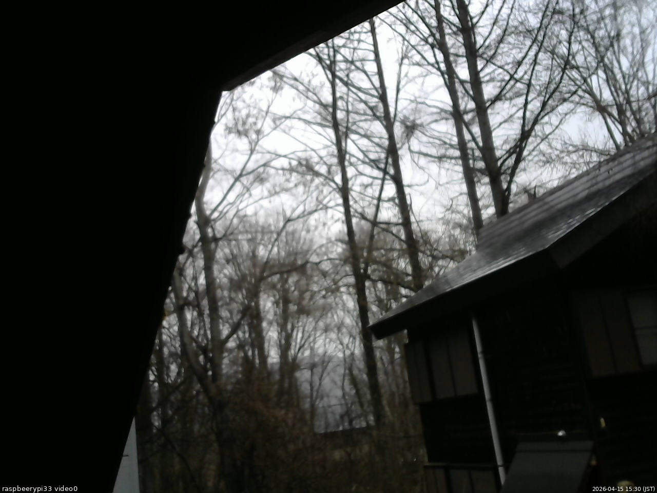 長野県菅平高原 ゆたか山荘 北側 2026/04/15 15:30