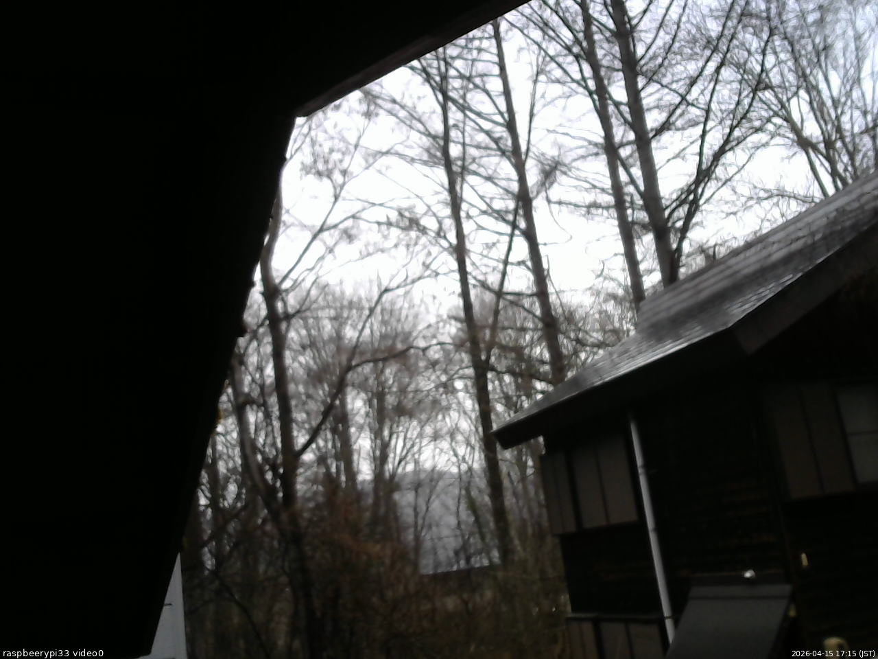 長野県菅平高原 ゆたか山荘 北側 2026/04/15 17:15