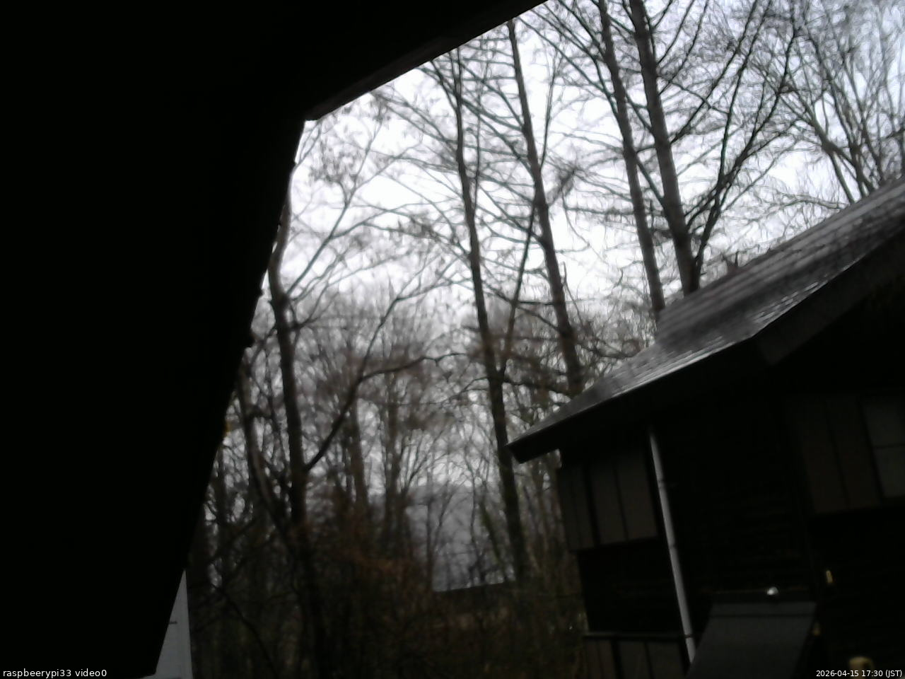 長野県菅平高原 ゆたか山荘 北側 2026/04/15 17:30