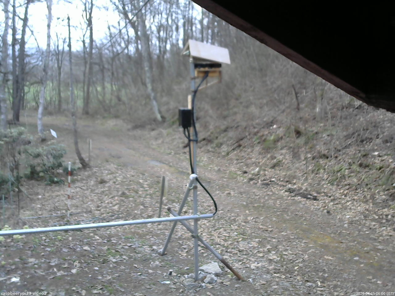 長野県菅平高原 ゆたか山荘 南側 2026/04/15 06:00