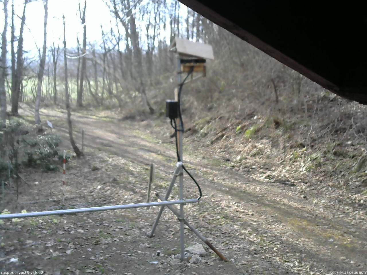 長野県菅平高原 ゆたか山荘 南側 2026/04/15 06:30