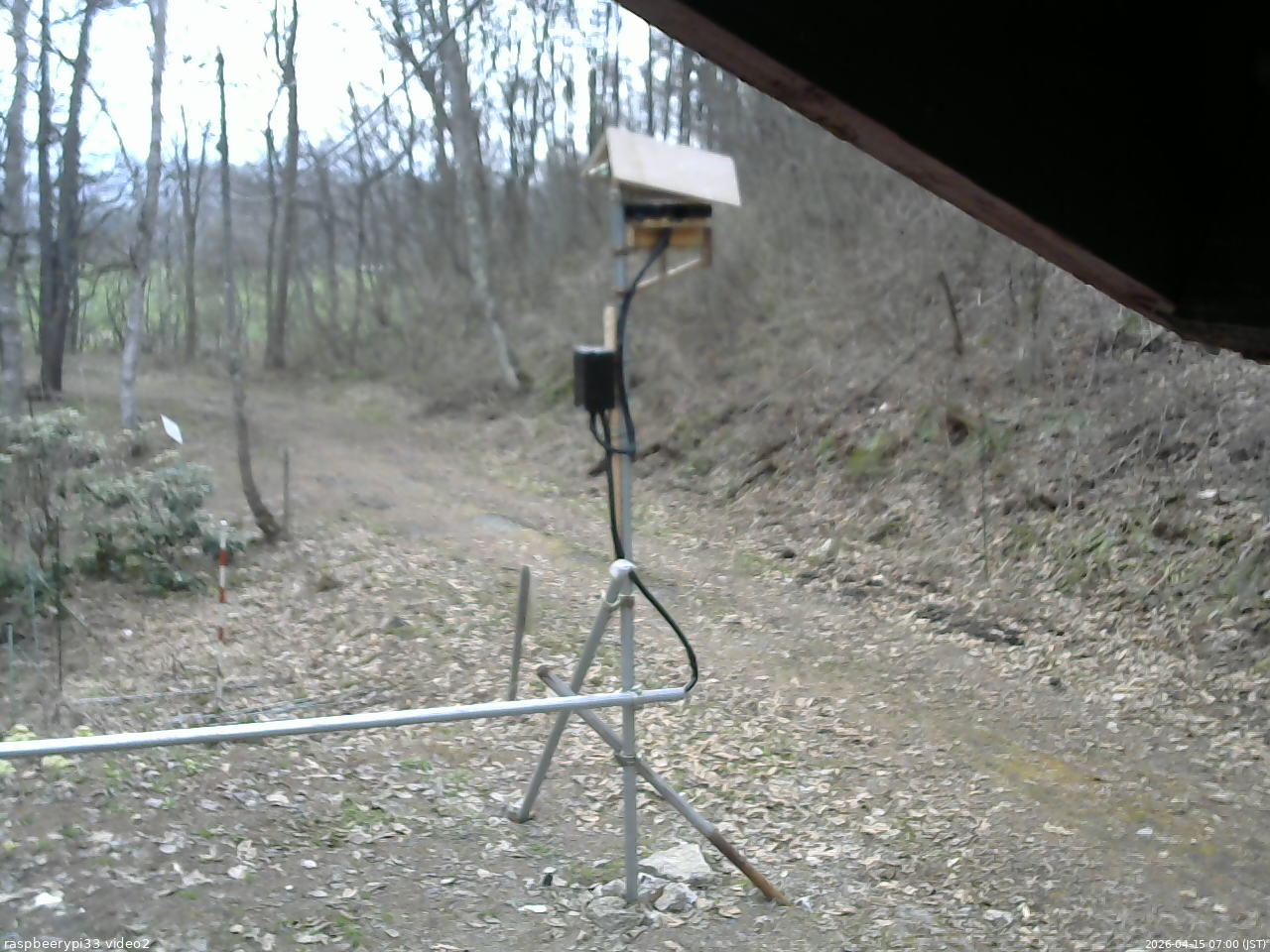 長野県菅平高原 ゆたか山荘 南側 2026/04/15 07:00