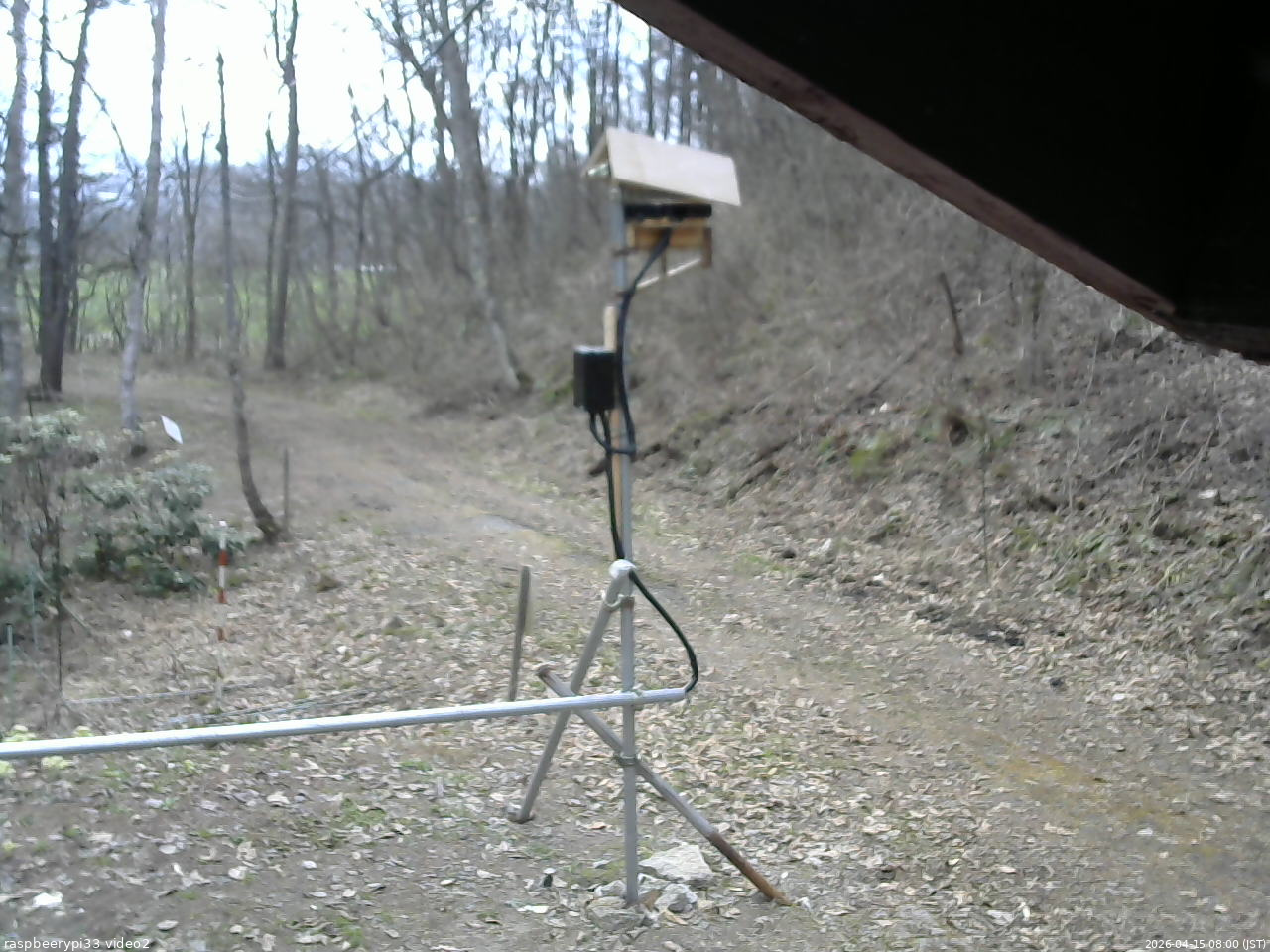 長野県菅平高原 ゆたか山荘 南側 2026/04/15 08:00