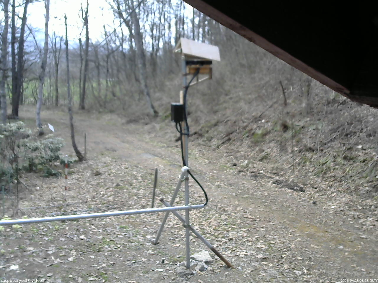 長野県菅平高原 ゆたか山荘 南側 2026/04/15 08:15