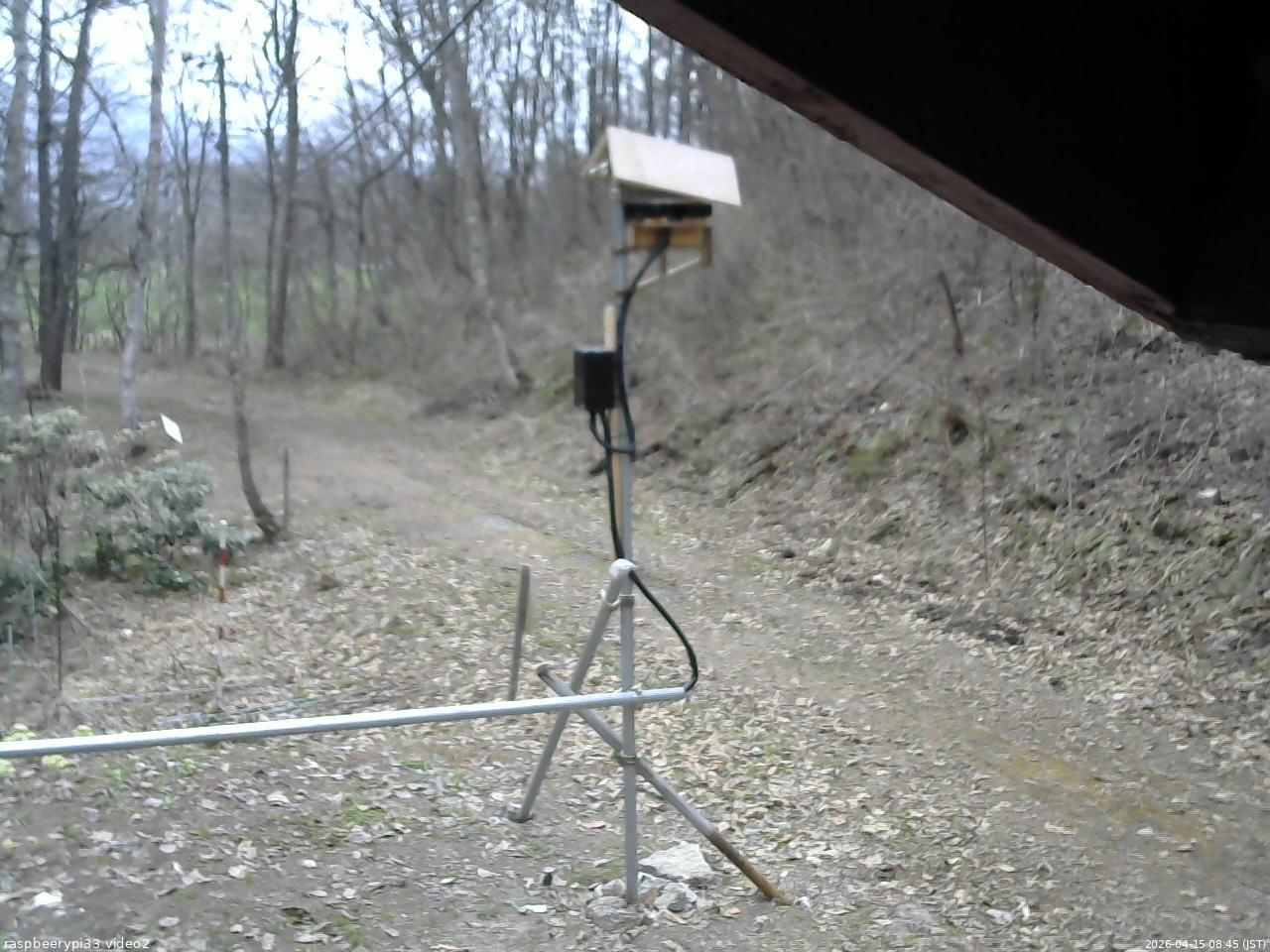 長野県菅平高原 ゆたか山荘 南側 2026/04/15 08:45