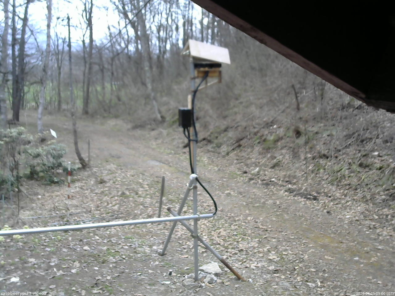 長野県菅平高原 ゆたか山荘 南側 2026/04/15 09:00