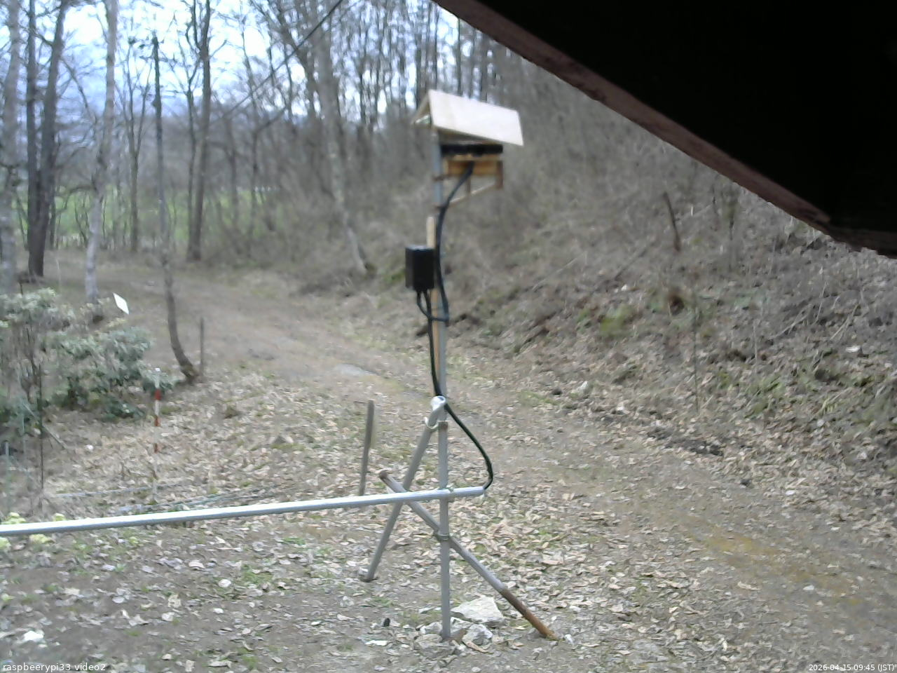 長野県菅平高原 ゆたか山荘 南側 2026/04/15 09:45