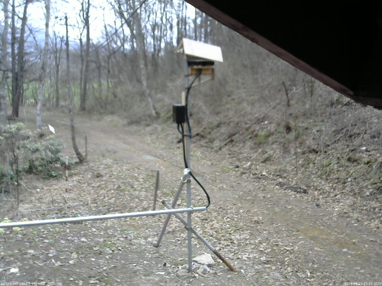 長野県菅平高原 ゆたか山荘 南側 2026/04/15 10:15