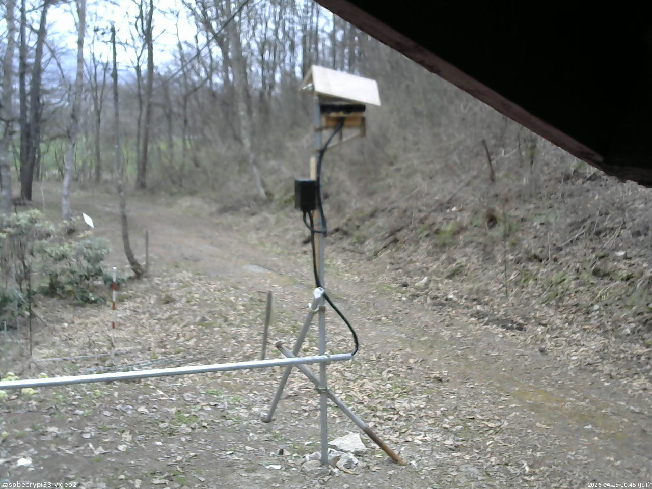 長野県菅平高原 ゆたか山荘 南側 2026/04/15 10:45
