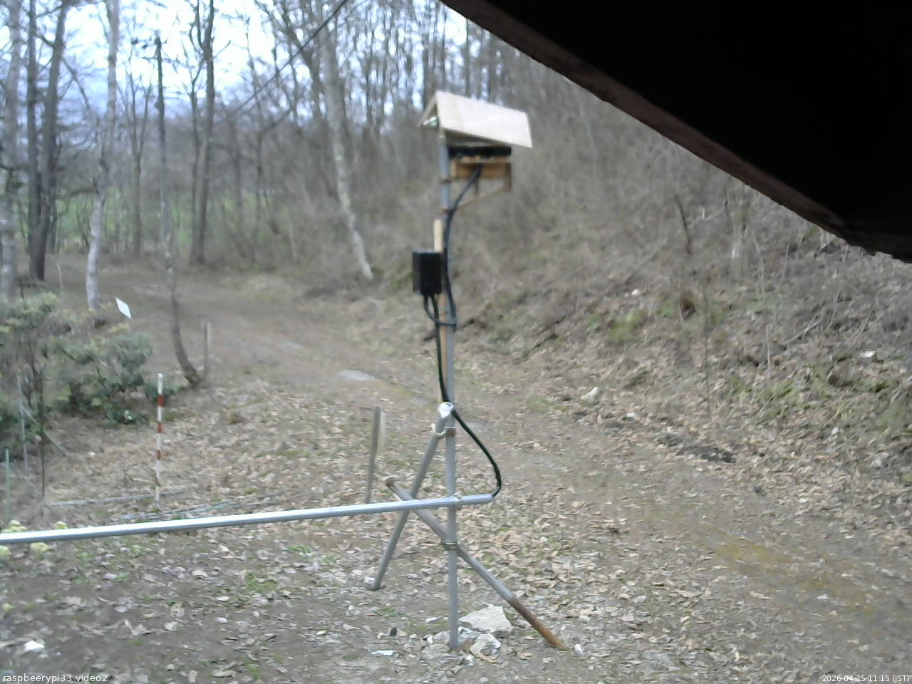 長野県菅平高原 ゆたか山荘 南側 2026/04/15 11:15