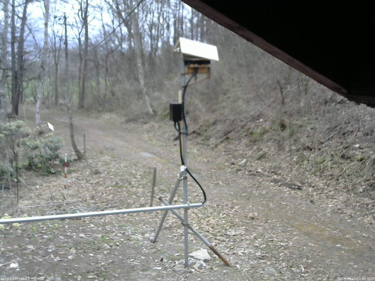 長野県菅平高原 ゆたか山荘 南側 2026/04/15 11:45