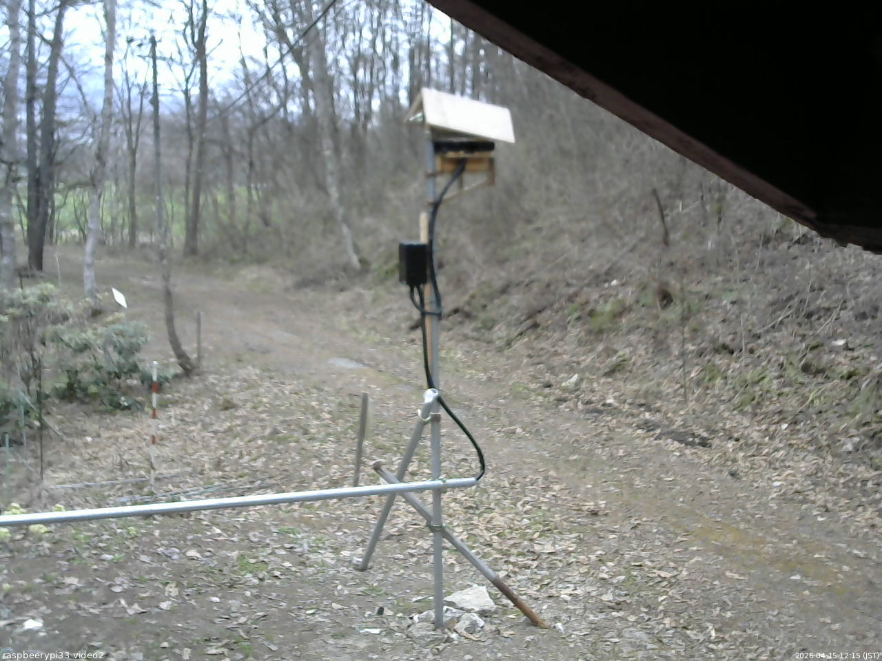 長野県菅平高原 ゆたか山荘 南側 2026/04/15 12:15