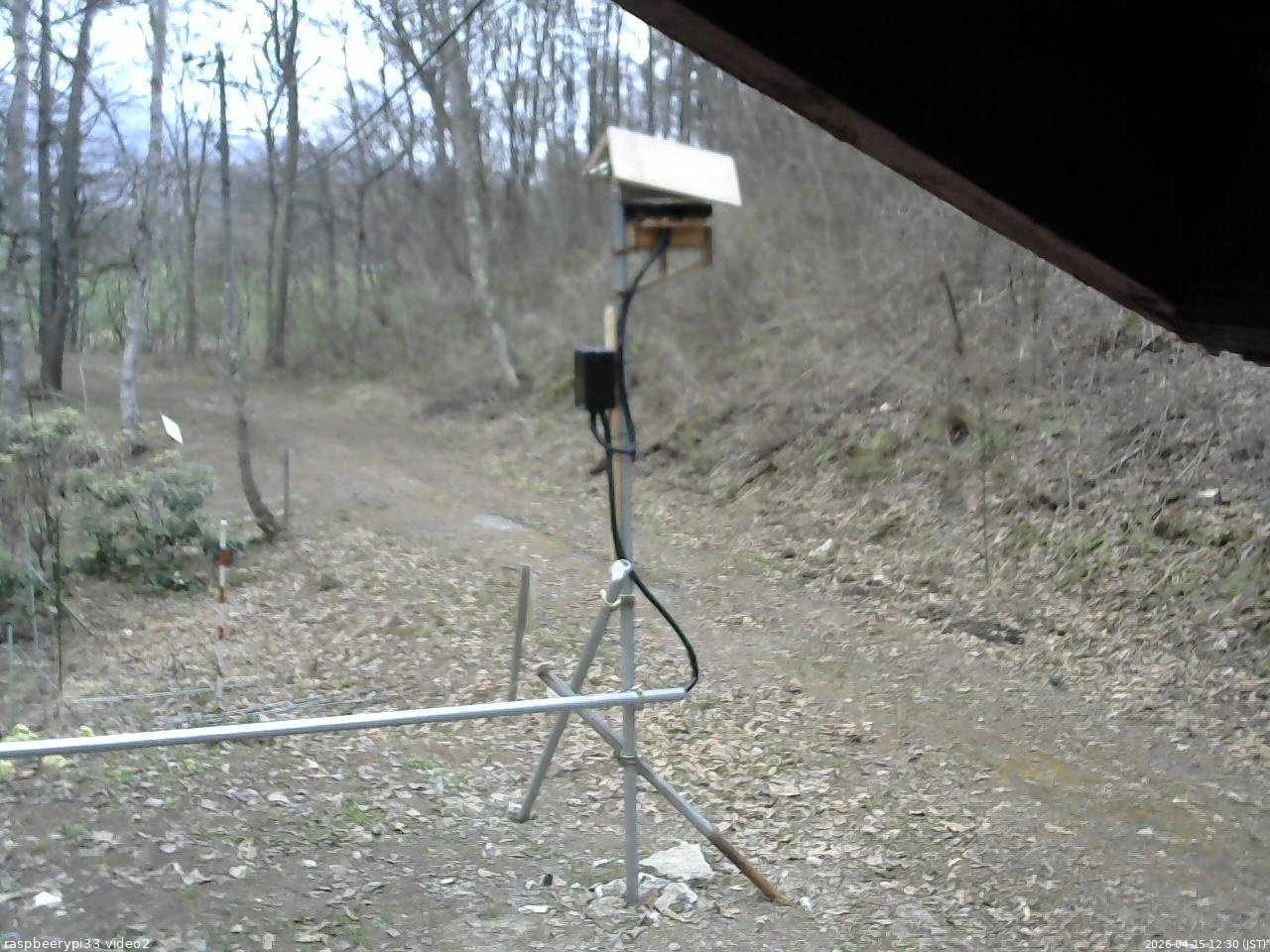 長野県菅平高原 ゆたか山荘 南側 2026/04/15 12:30