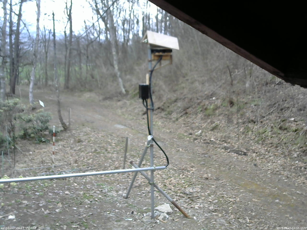 長野県菅平高原 ゆたか山荘 南側 2026/04/15 14:15
