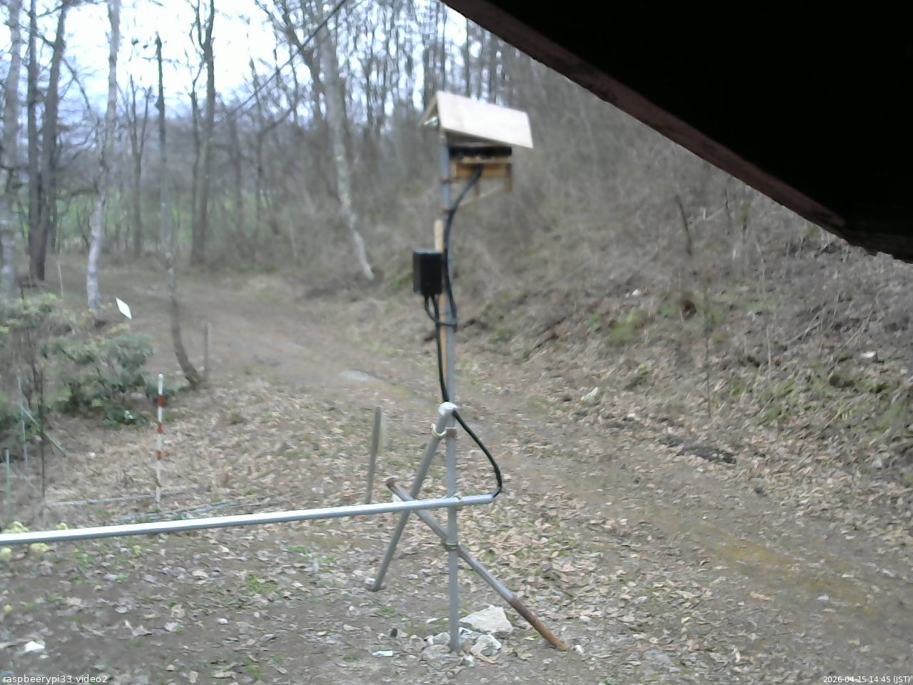 長野県菅平高原 ゆたか山荘 南側 2026/04/15 14:45