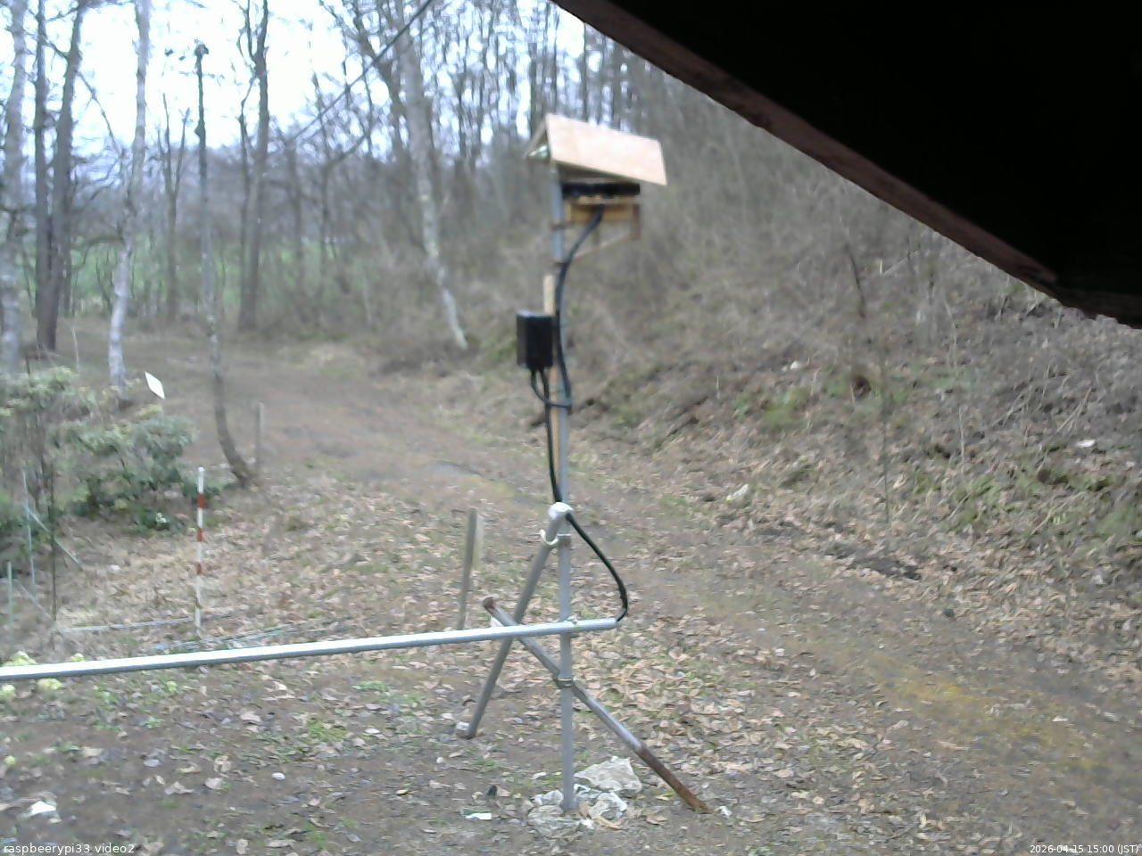 長野県菅平高原 ゆたか山荘 南側 2026/04/15 15:00