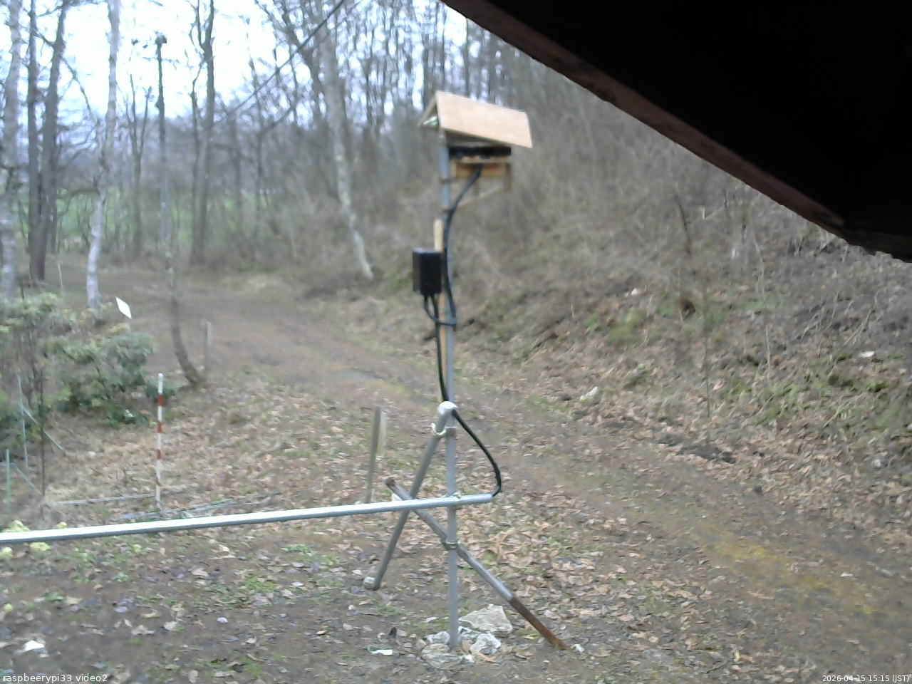 長野県菅平高原 ゆたか山荘 南側 2026/04/15 15:15