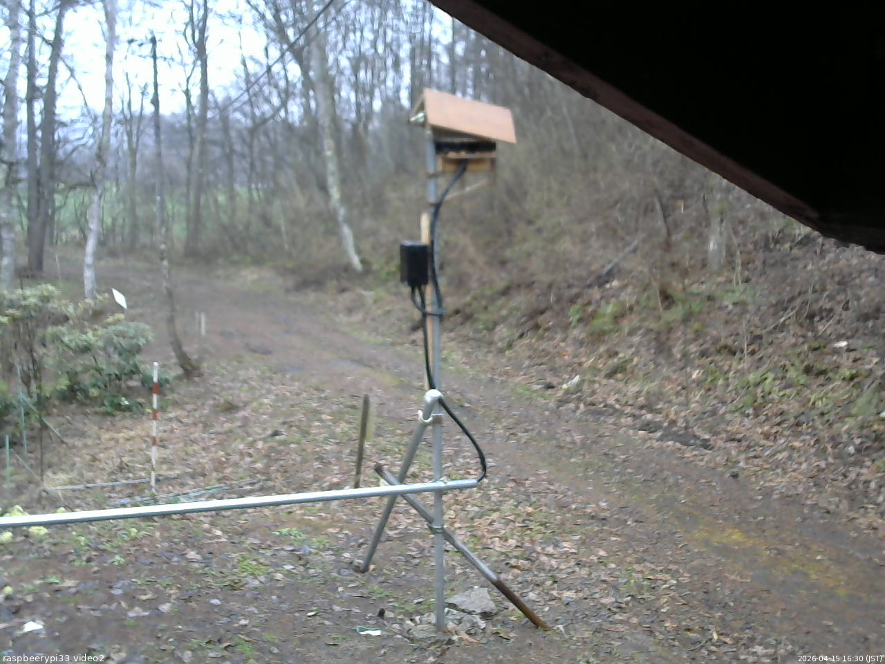 長野県菅平高原 ゆたか山荘 南側 2026/04/15 16:30