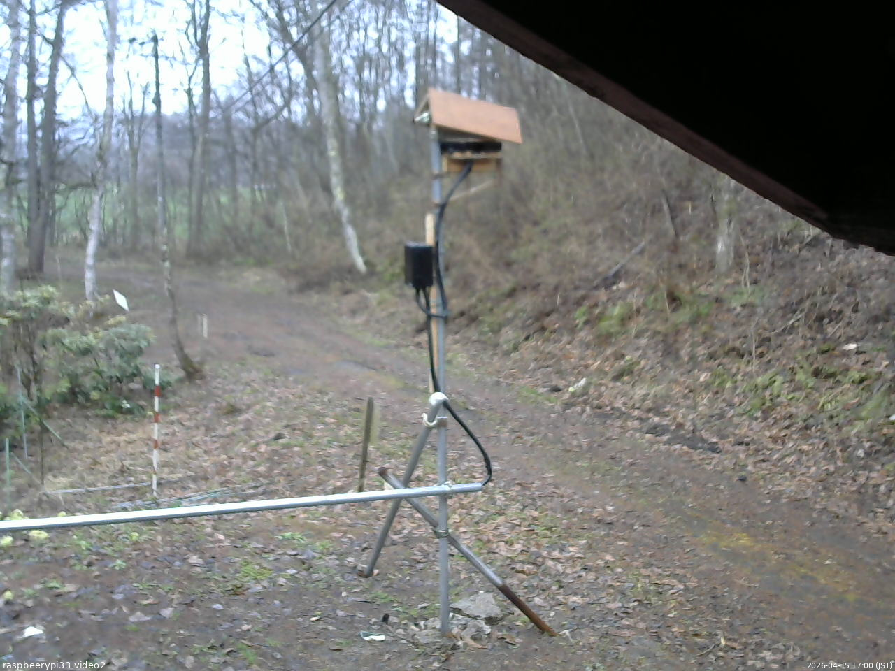 長野県菅平高原 ゆたか山荘 南側 2026/04/15 17:00