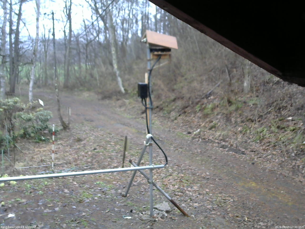 長野県菅平高原 ゆたか山荘 南側 2026/04/15 17:30