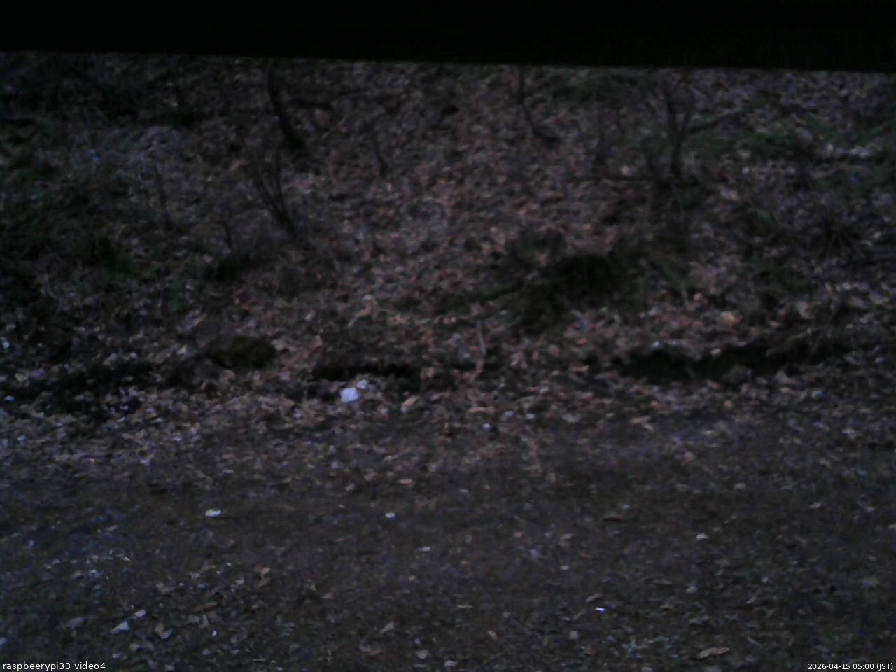 長野県菅平高原 ゆたか山荘 東側(坂下) 2026/04/15 05:00