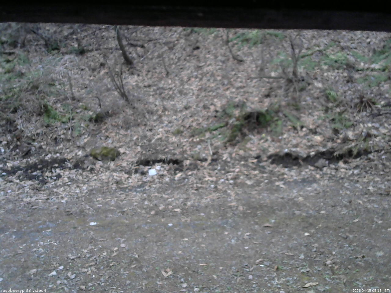 長野県菅平高原 ゆたか山荘 東側(坂下) 2026/04/15 05:15