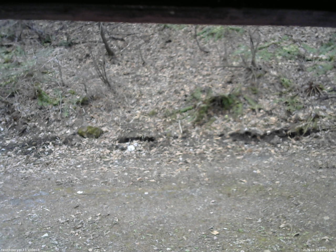 長野県菅平高原 ゆたか山荘 東側(坂下) 2026/04/15 09:45