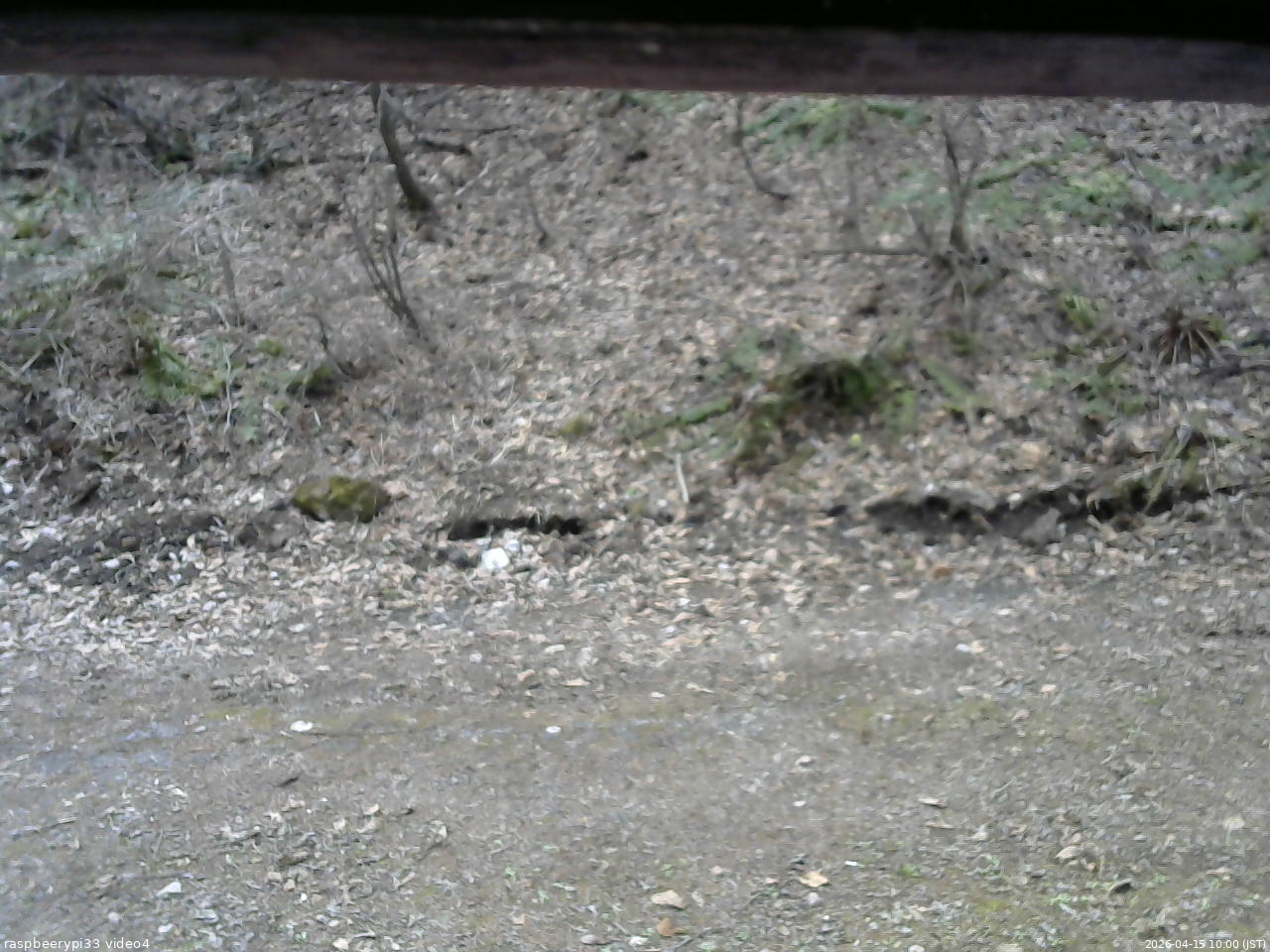 長野県菅平高原 ゆたか山荘 東側(坂下) 2026/04/15 10:00