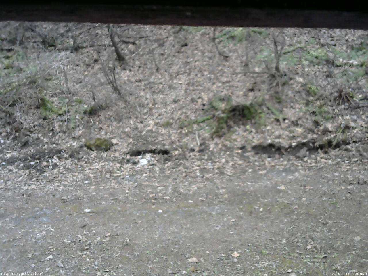 長野県菅平高原 ゆたか山荘 東側(坂下) 2026/04/15 11:30