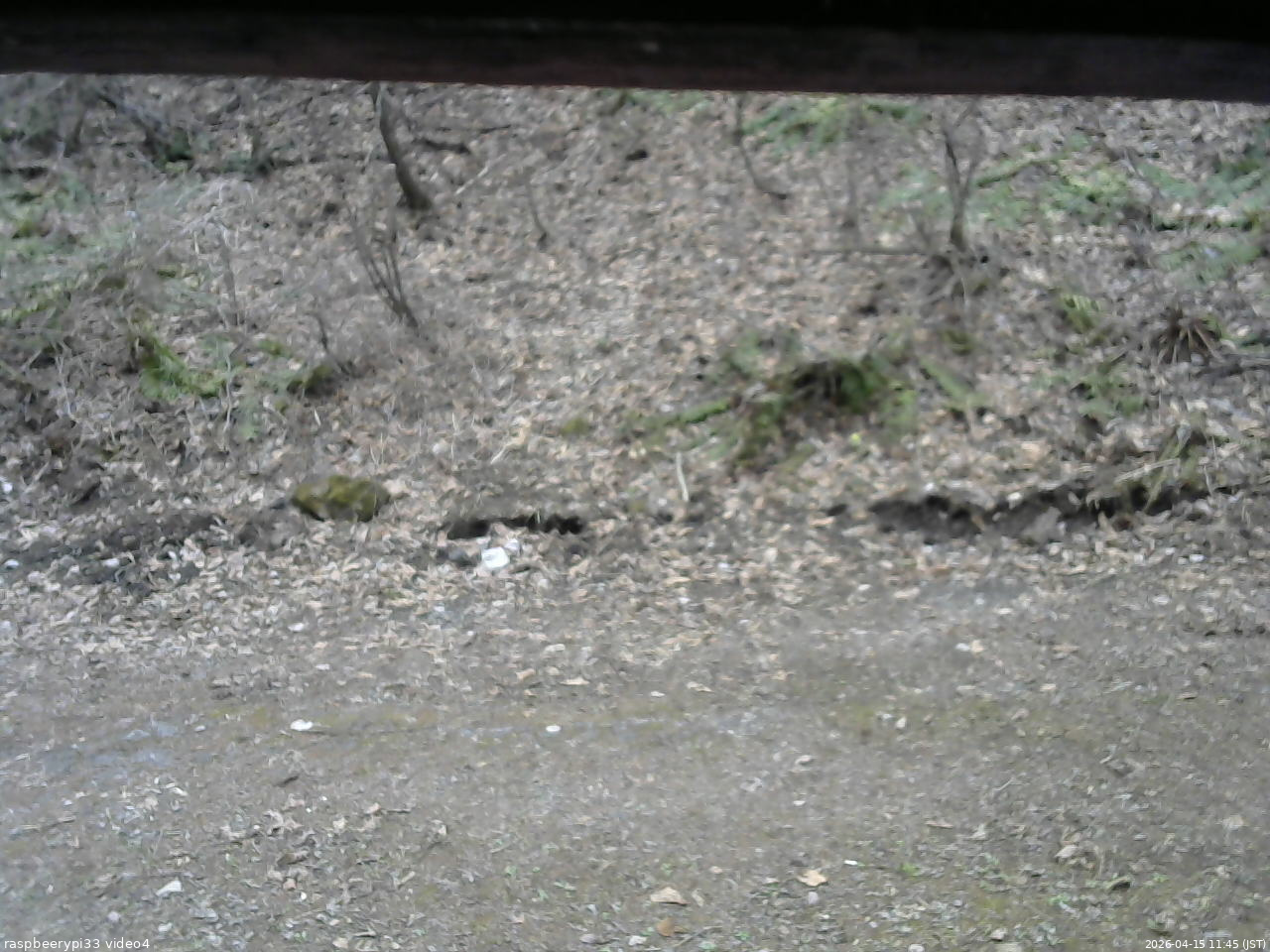 長野県菅平高原 ゆたか山荘 東側(坂下) 2026/04/15 11:45