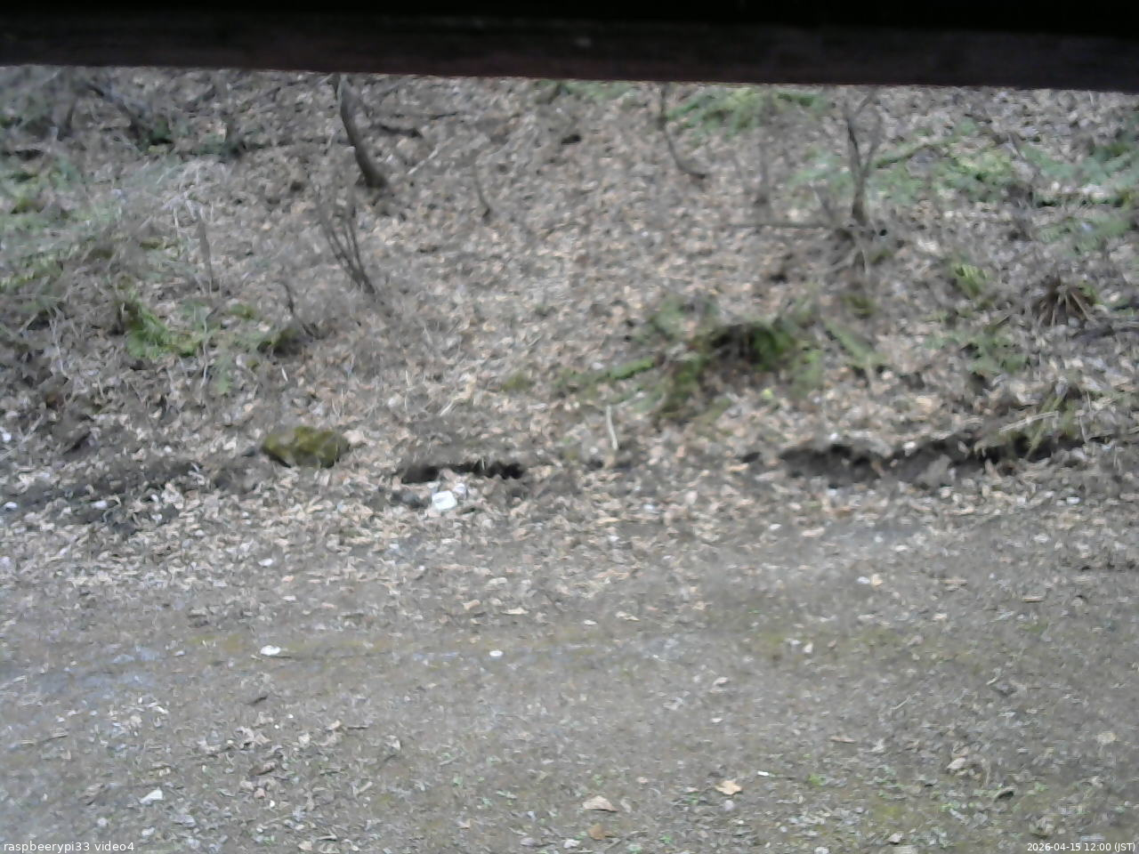 長野県菅平高原 ゆたか山荘 東側(坂下) 2026/04/15 12:00