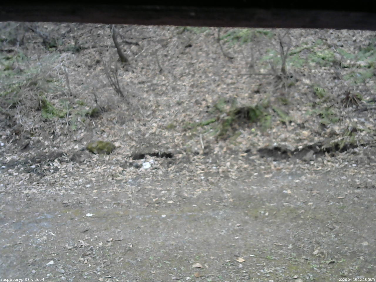 長野県菅平高原 ゆたか山荘 東側(坂下) 2026/04/15 12:15