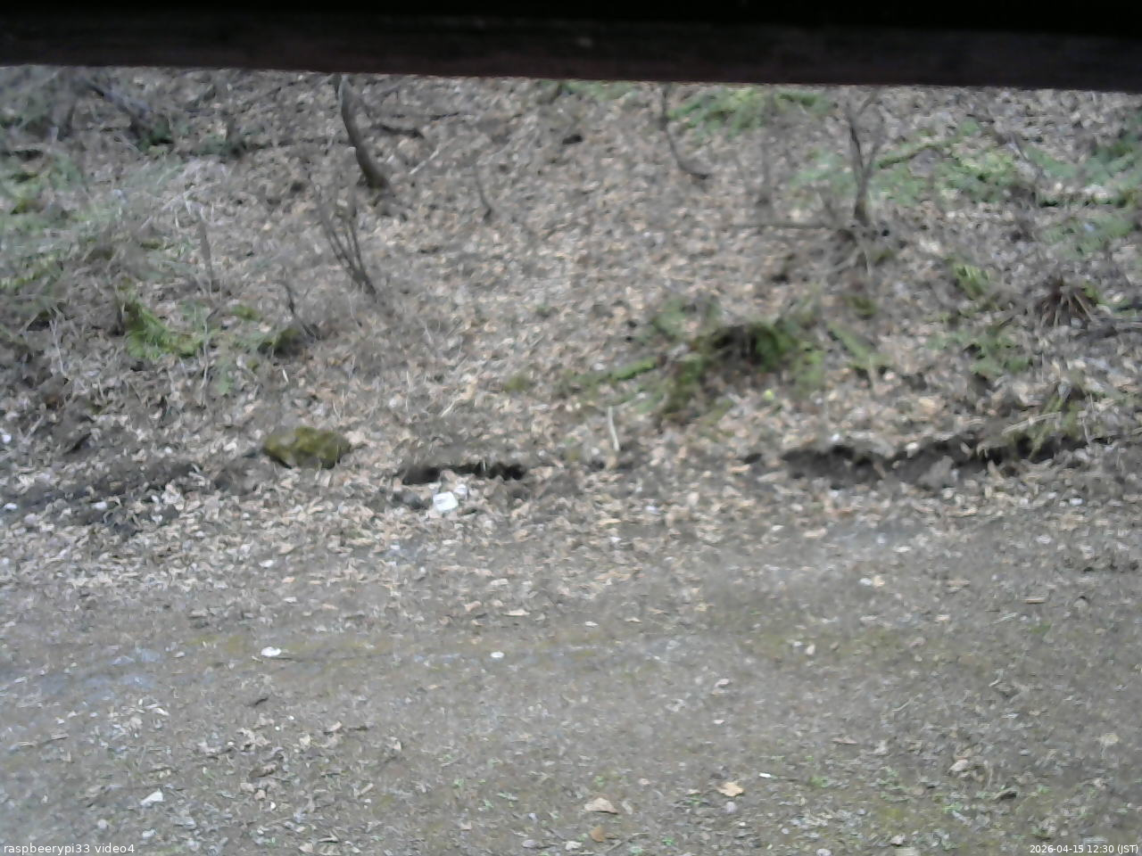 長野県菅平高原 ゆたか山荘 東側(坂下) 2026/04/15 12:30