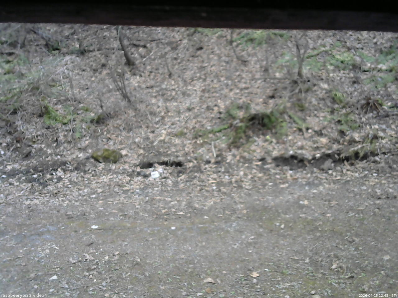 長野県菅平高原 ゆたか山荘 東側(坂下) 2026/04/15 12:45