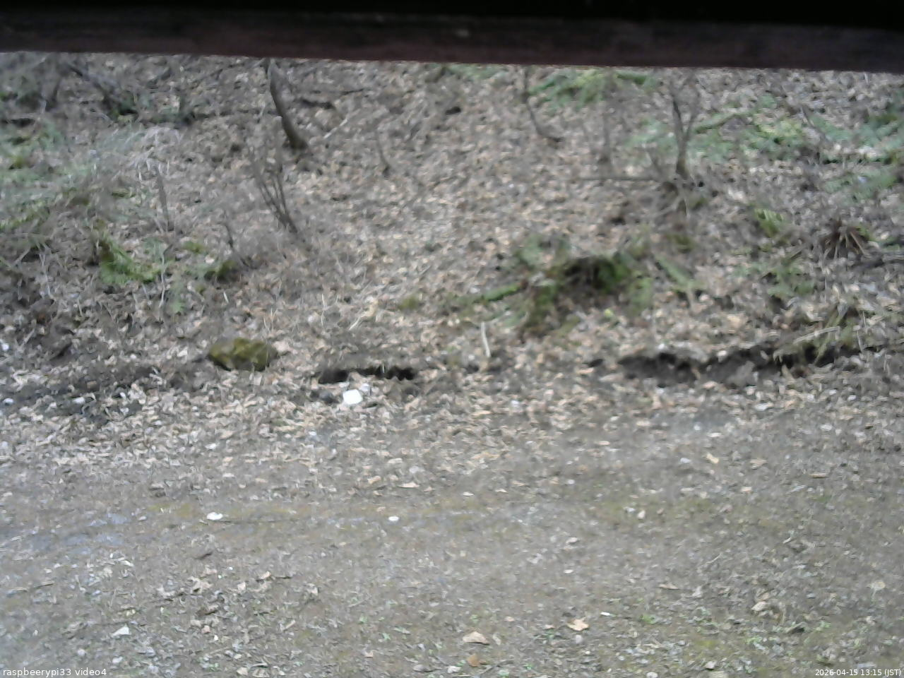 長野県菅平高原 ゆたか山荘 東側(坂下) 2026/04/15 13:15