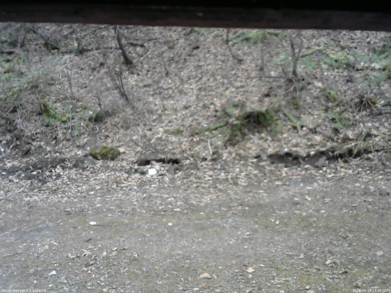 長野県菅平高原 ゆたか山荘 東側(坂下) 2026/04/15 13:30