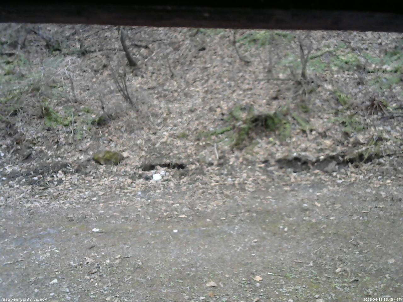 長野県菅平高原 ゆたか山荘 東側(坂下) 2026/04/15 13:45