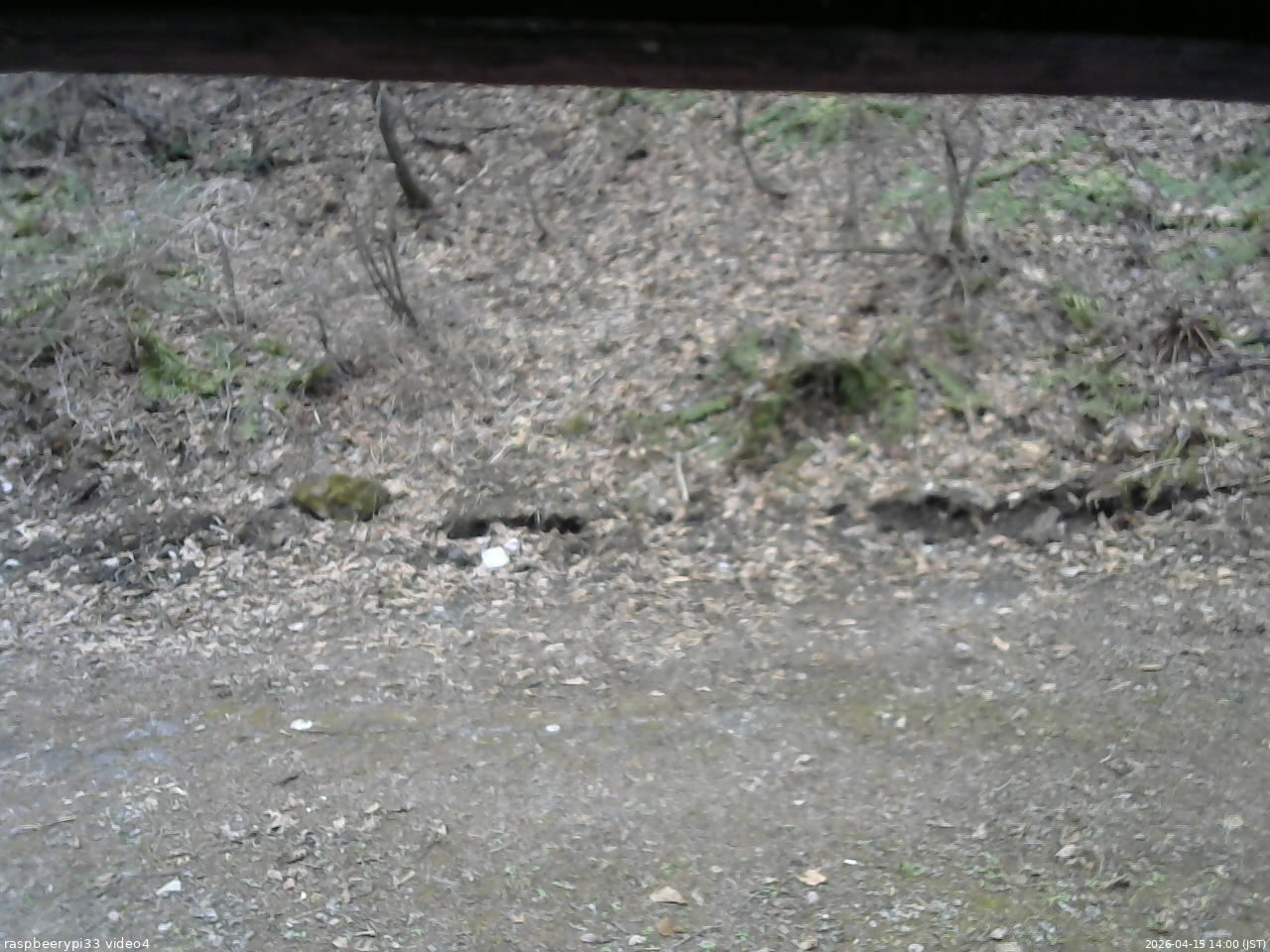 長野県菅平高原 ゆたか山荘 東側(坂下) 2026/04/15 14:00