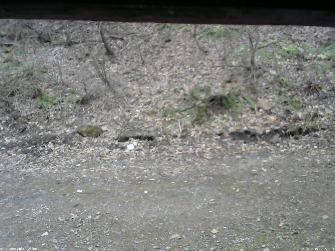 長野県菅平高原 ゆたか山荘 東側(坂下) 2026/04/15 14:15