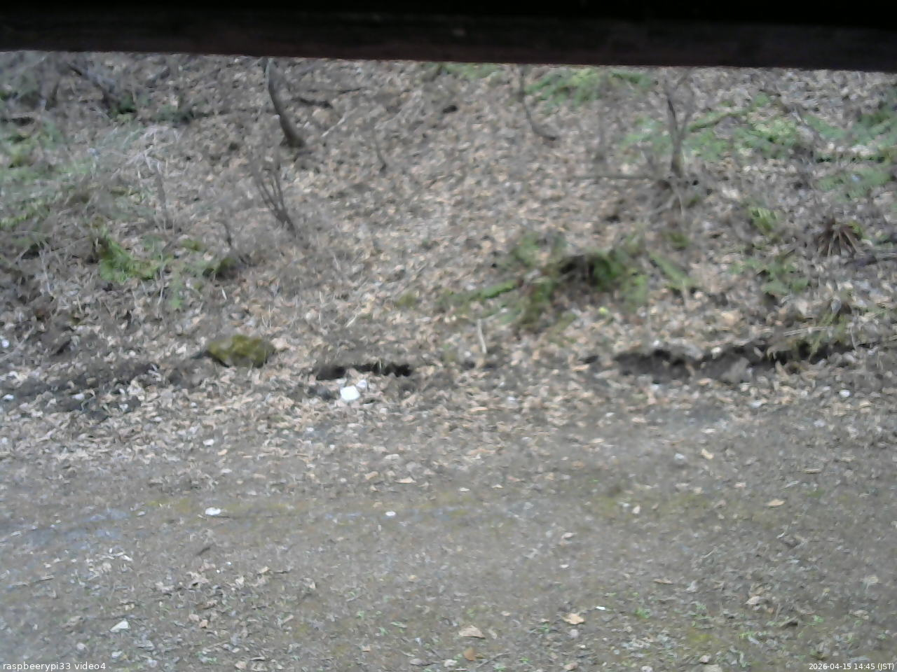 長野県菅平高原 ゆたか山荘 東側(坂下) 2026/04/15 14:45