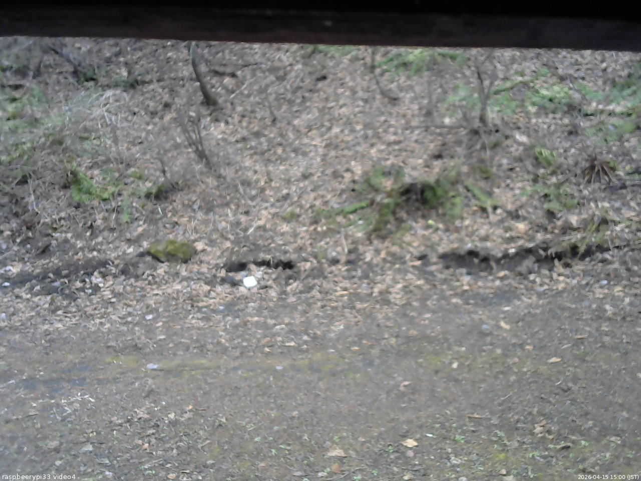 長野県菅平高原 ゆたか山荘 東側(坂下) 2026/04/15 15:00