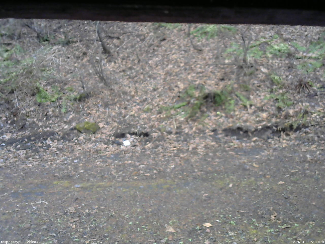 長野県菅平高原 ゆたか山荘 東側(坂下) 2026/04/15 15:30