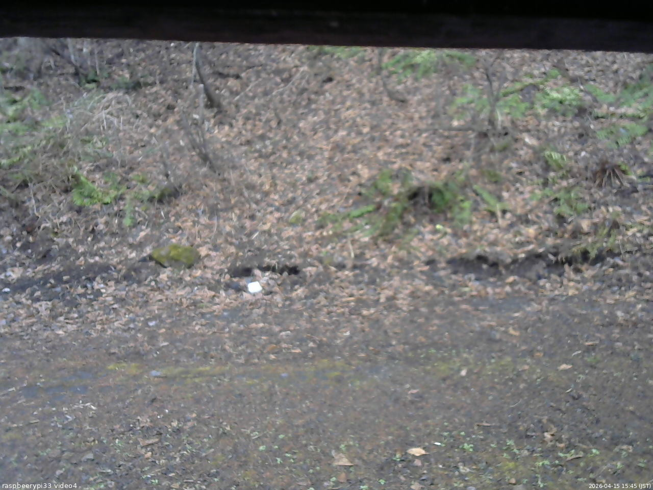 長野県菅平高原 ゆたか山荘 東側(坂下) 2026/04/15 15:45