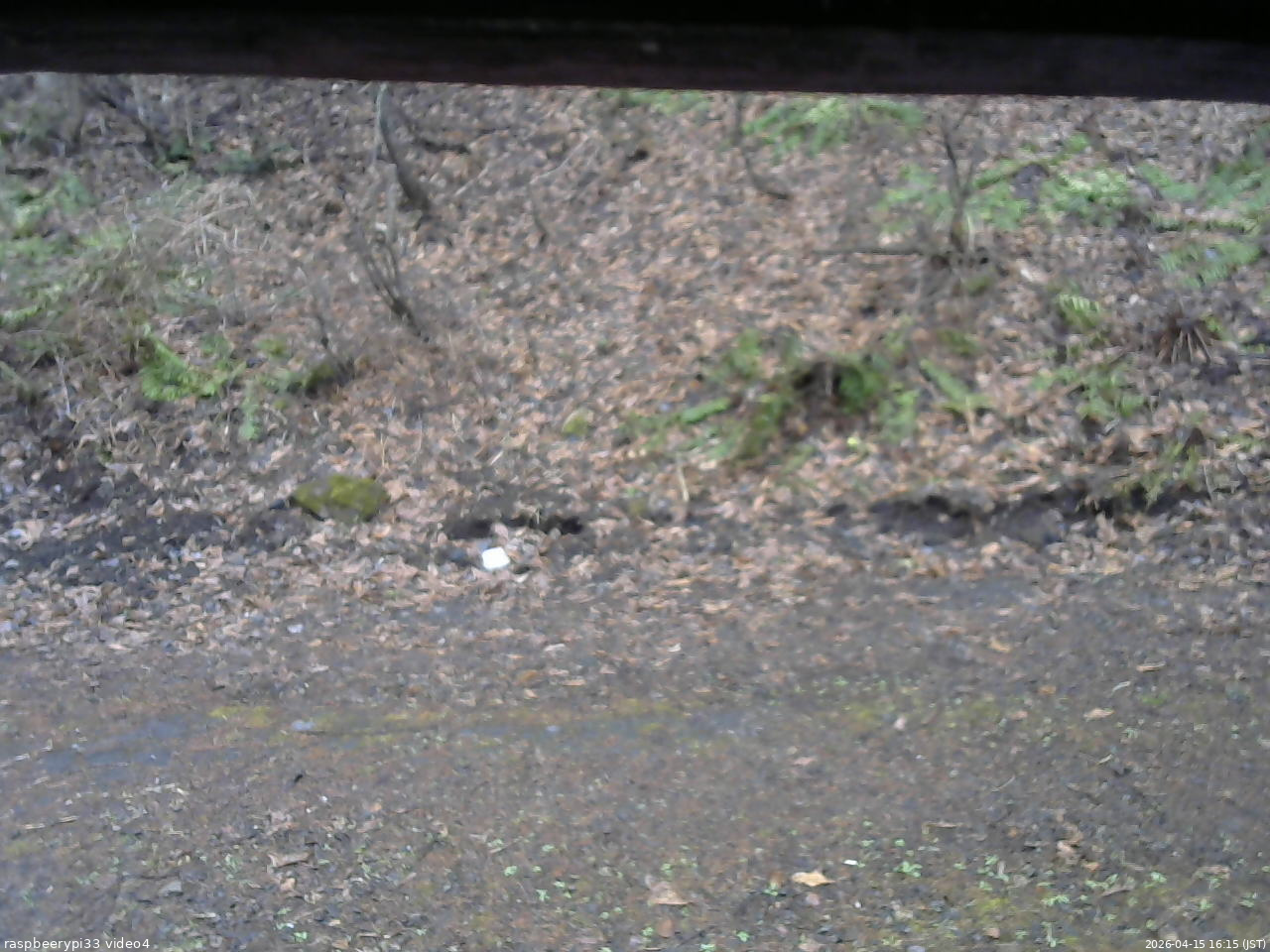 長野県菅平高原 ゆたか山荘 東側(坂下) 2026/04/15 16:15